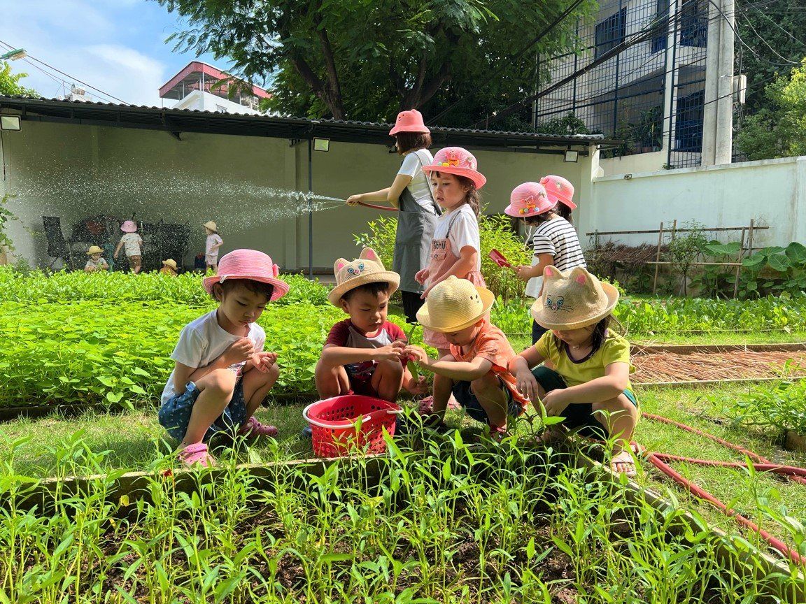 Các bé đội mũ tai mèo nhổ rau trong vườn của trường